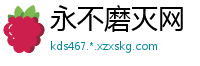 永不磨灭网